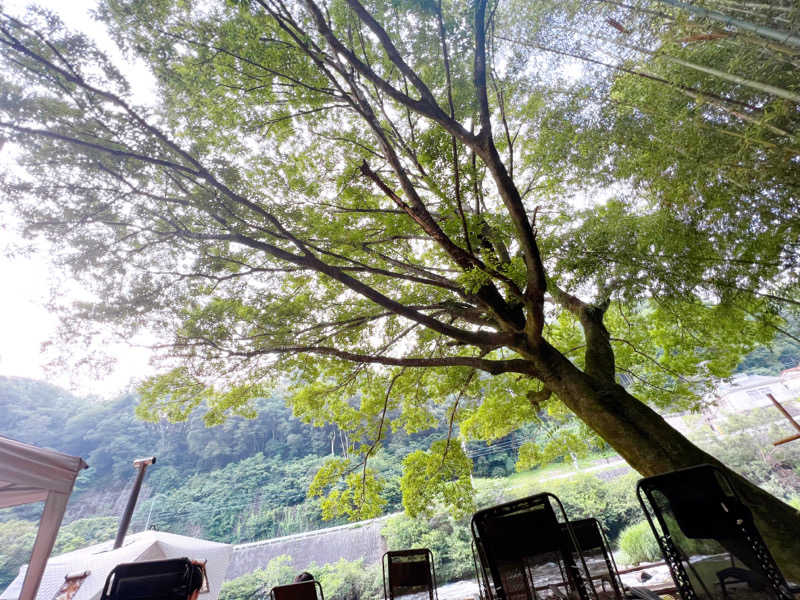 ばるさんのSauna Base SHIFUKUのサ活写真