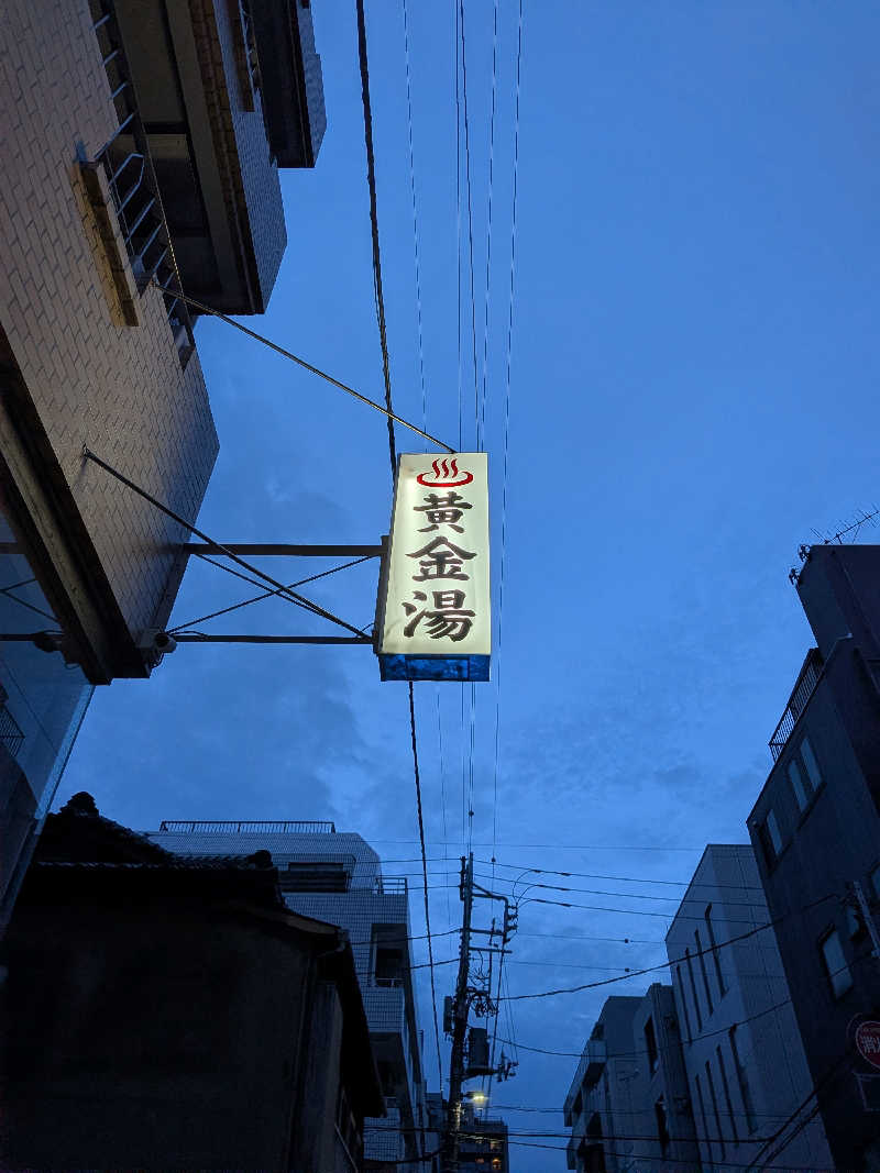 とろいかさんの黄金湯のサ活写真