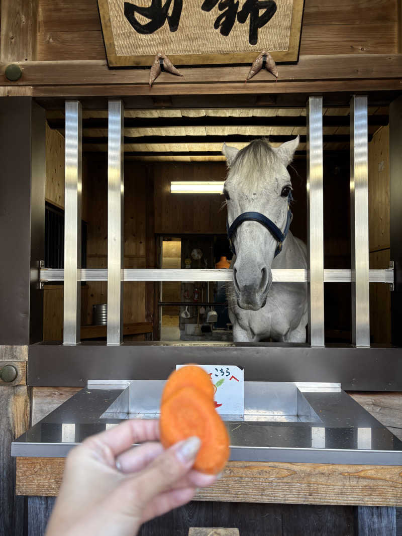 ゆーあさんの神馬の湯のサ活写真