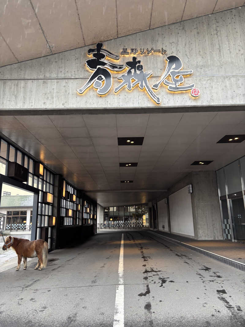 ゆーあさんの青森ねぶたサウナ(青森屋 by 星野リゾート)のサ活写真