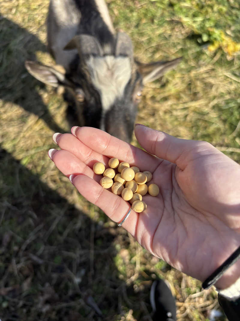 ゆーあさんの熊ノ沢温泉のサ活写真
