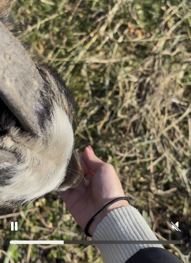 ゆーあさんの熊ノ沢温泉のサ活写真