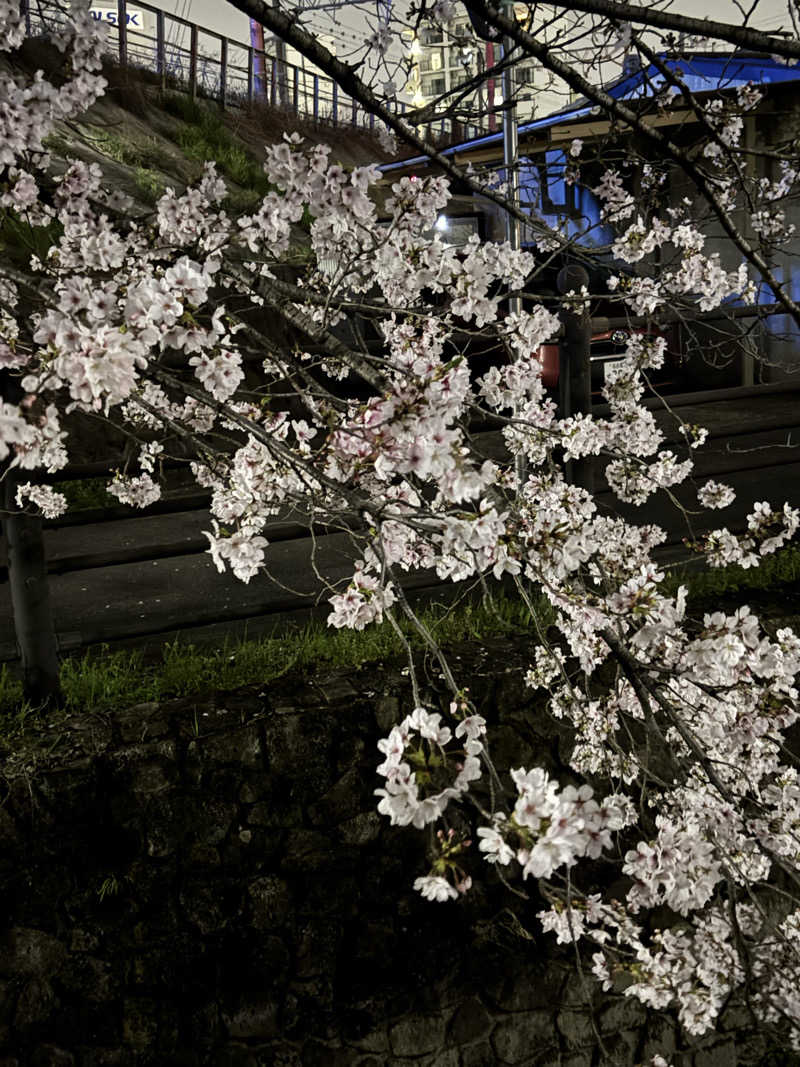 ゆーあさんの日比津温泉のサ活写真