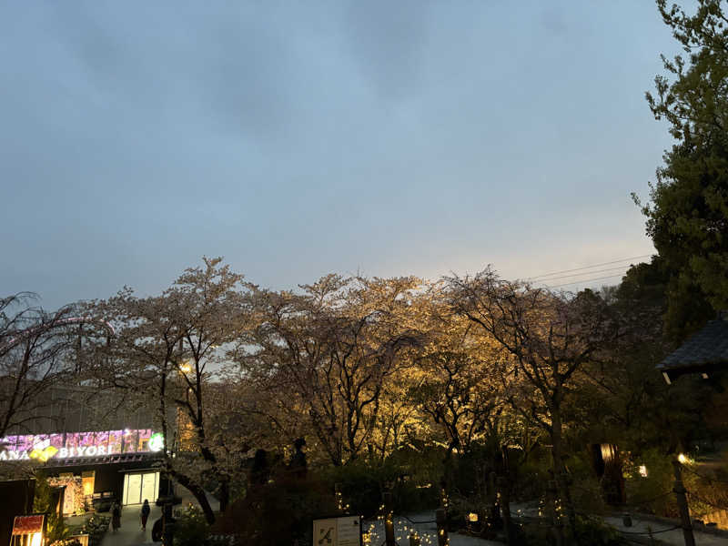 ヨッッッシさんのよみうりランド眺望温泉 花景の湯のサ活写真