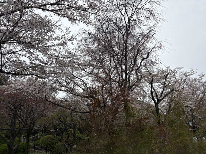 ヨッッッシさんのよみうりランド眺望温泉 花景の湯のサ活写真