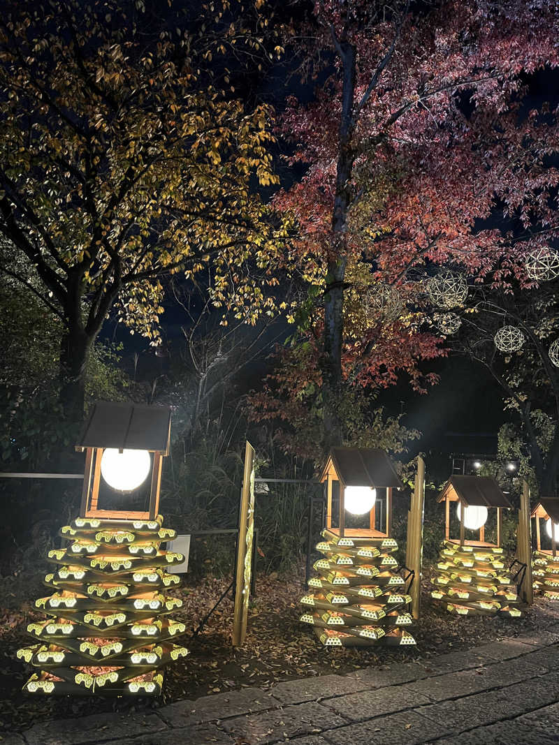 ぽんちょさんのよみうりランド眺望温泉 花景の湯のサ活写真