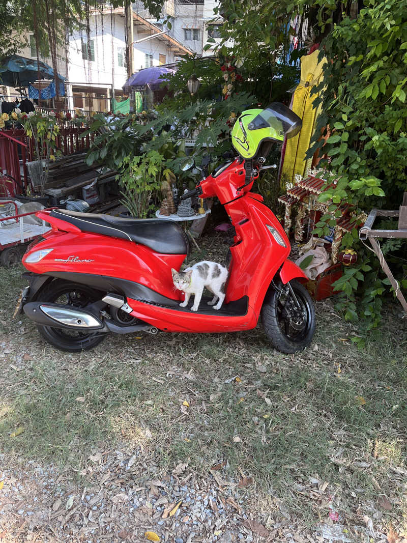 ぽんちょさんのwat sangkrachaiのサ活写真