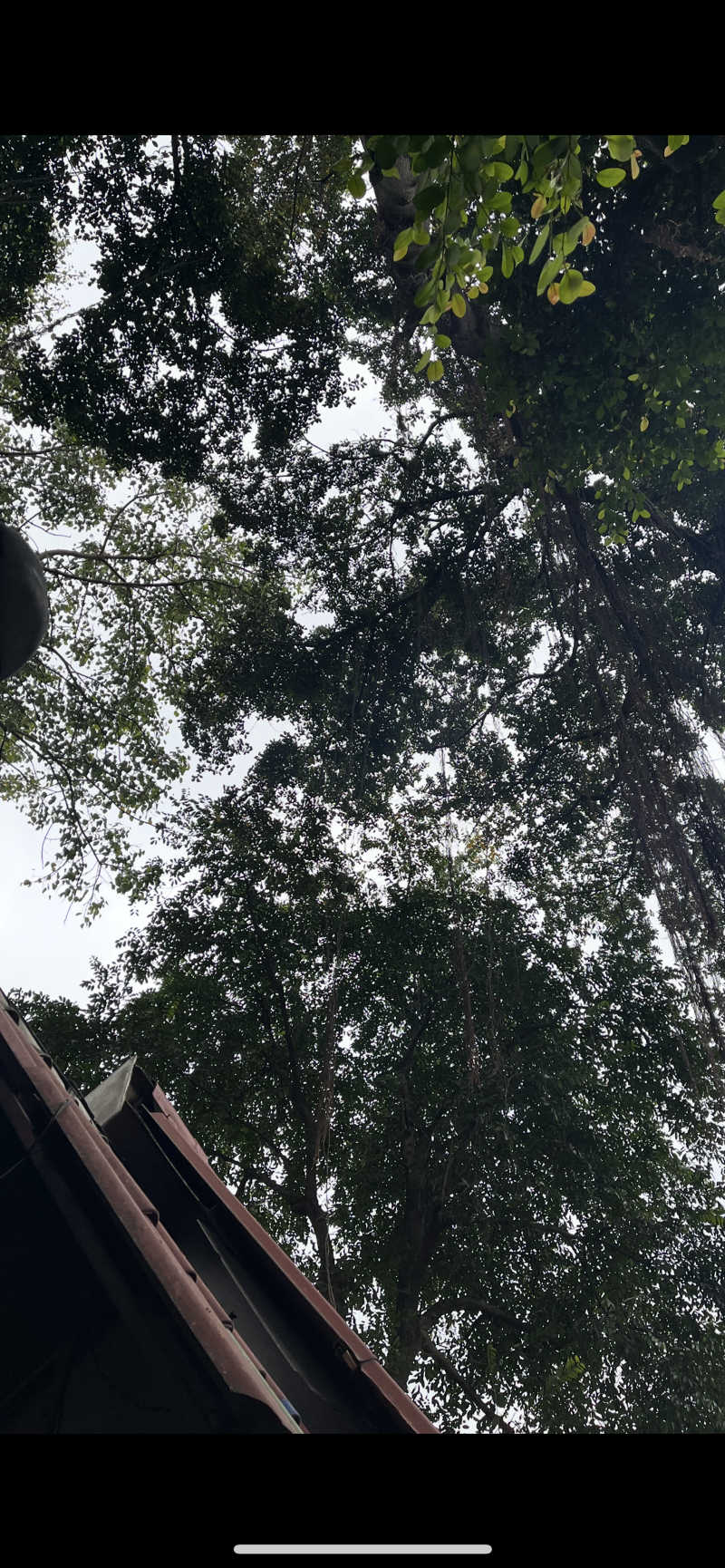 ぽんちょさんのワット カチョンシリ(Wat Khachonsiri)のサ活写真