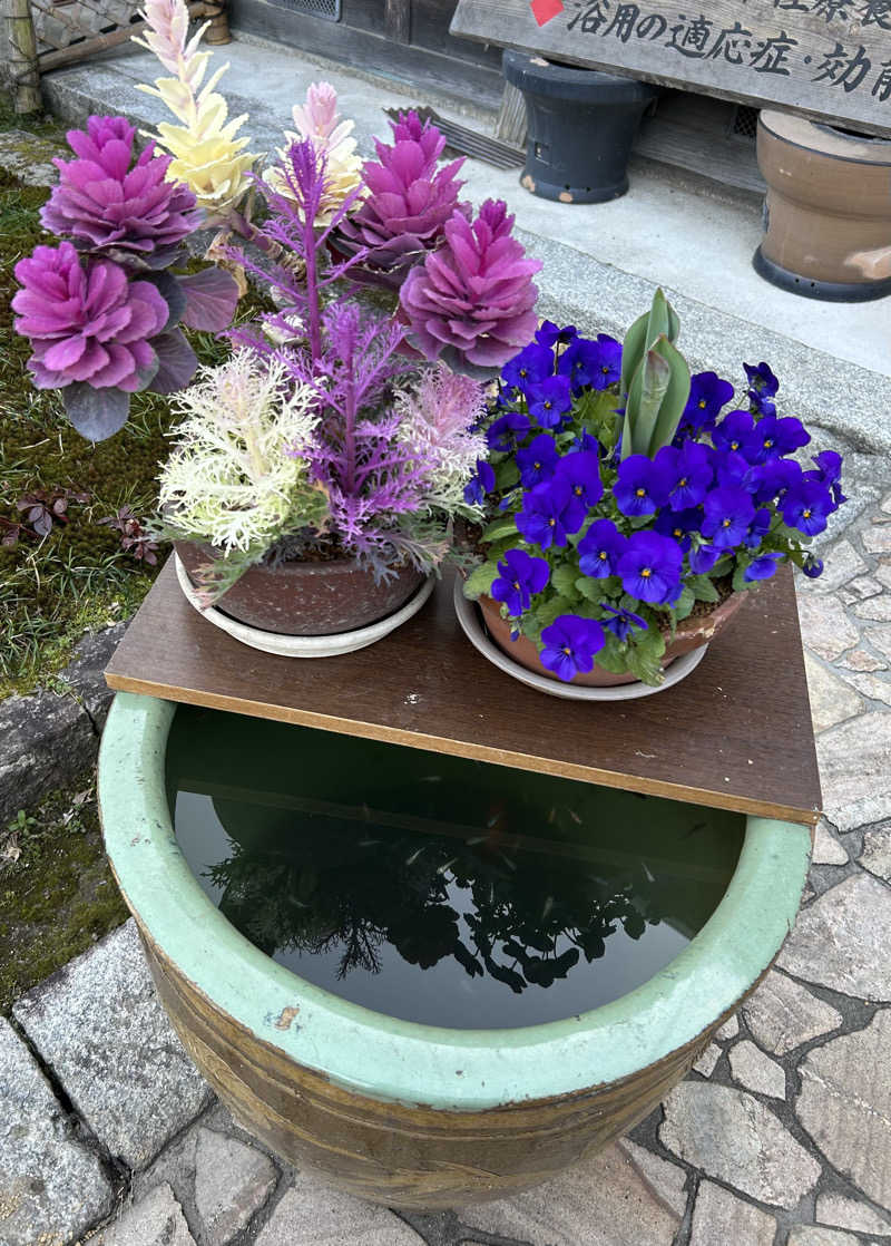 しゃーくさんの福知山温泉 養老の湯のサ活写真
