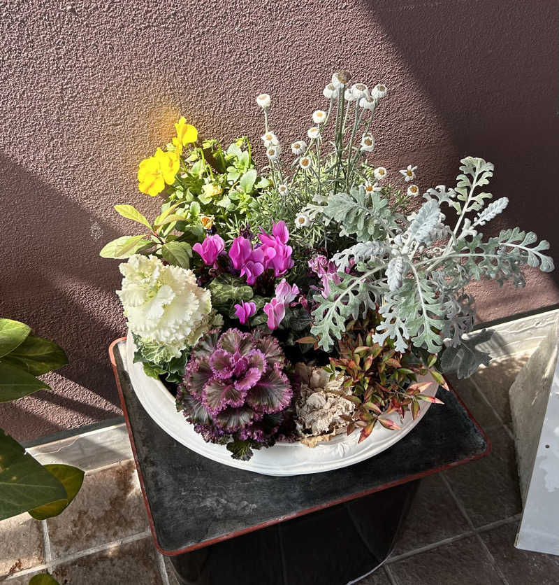 しゃーくさんのしっとりつるつる北山温泉のサ活写真