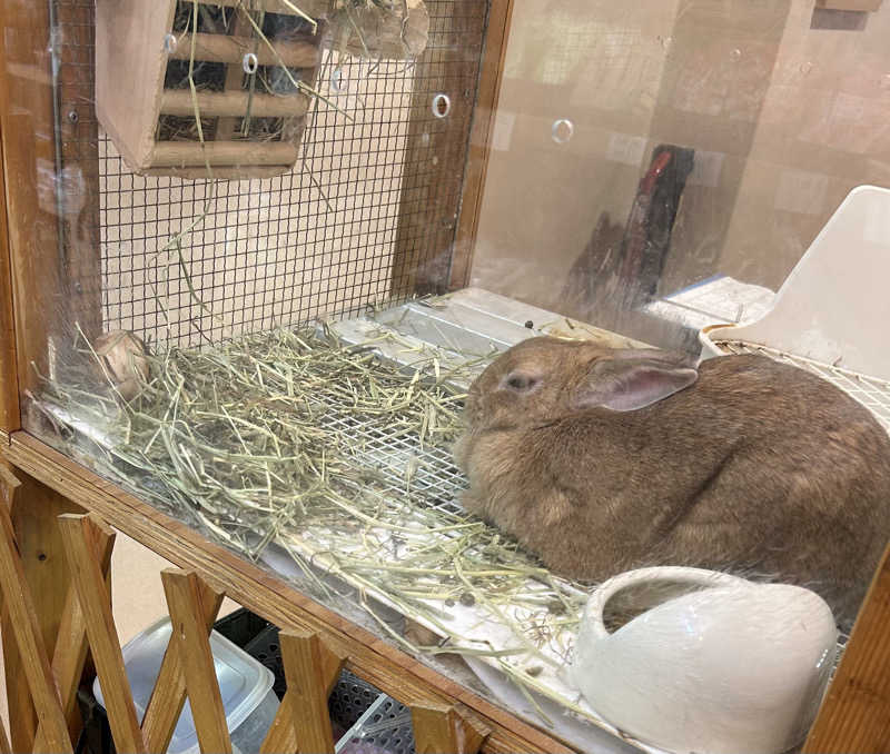 しゃーくさんの美人湯 祥風苑のサ活写真