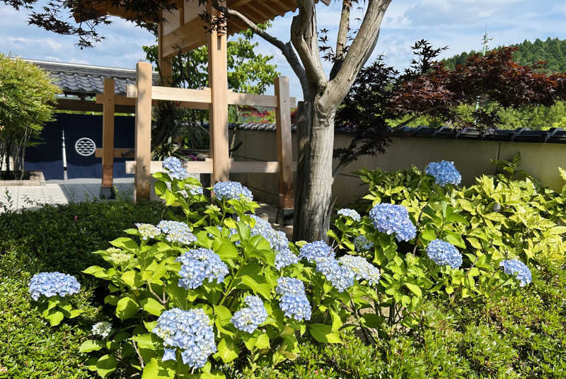 しゃーくさんのSAUNA RESORT 天光の湯のサ活写真