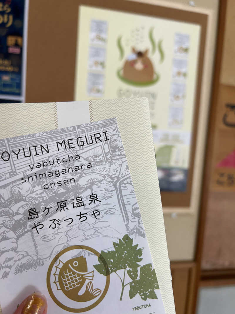 しゃーくさんの島ヶ原温泉やぶっちゃのサ活写真