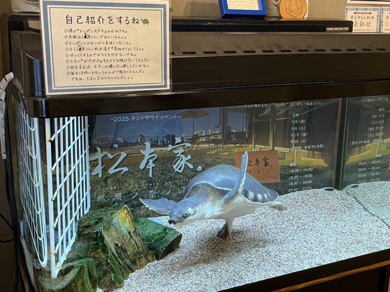 しゅんさんの松本湯のサ活写真