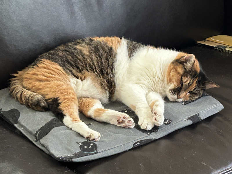 新東京正義乃士さんの湯ーとぴあ くま乃ゆ(熊野湯)のサ活写真