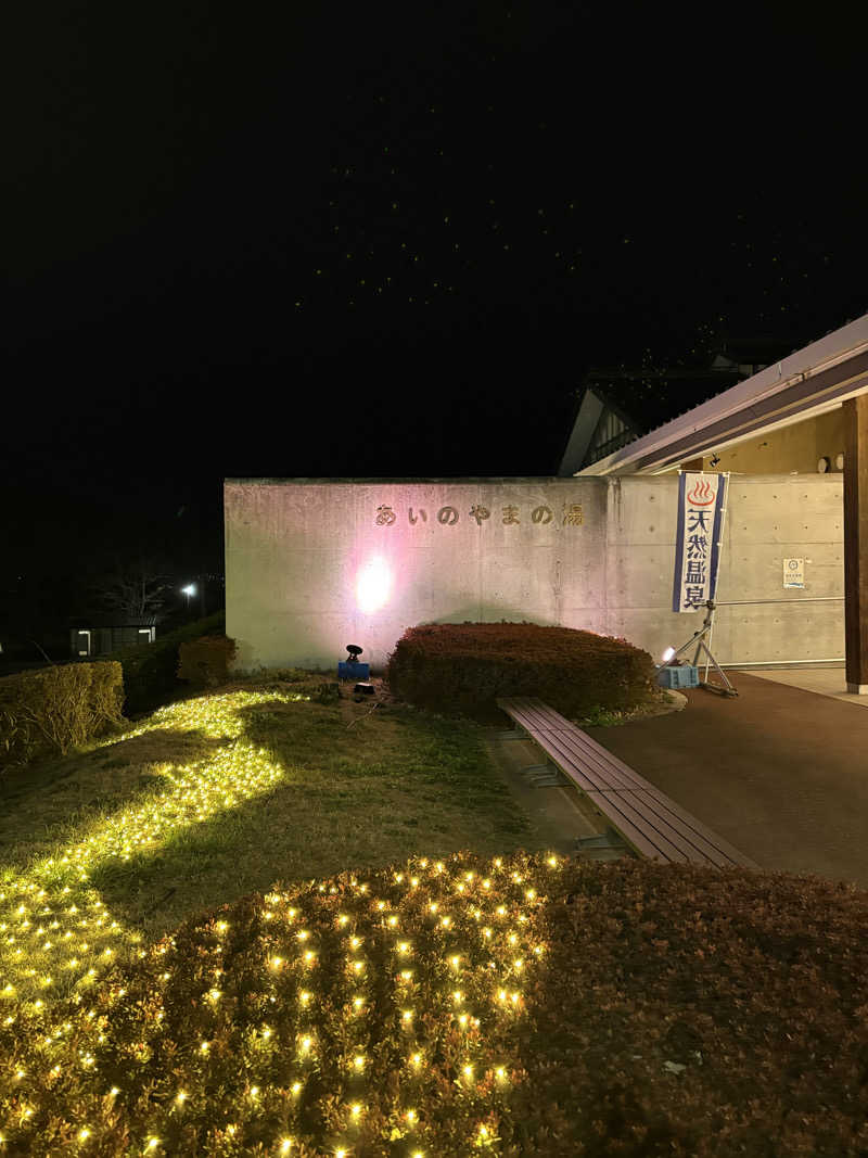 かなぴよザウルス🦖さんの前橋荻窪温泉 あいのやまの湯のサ活写真