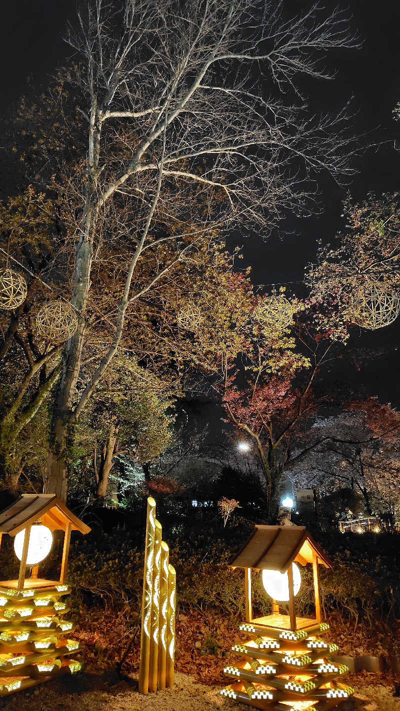 がんこさんのよみうりランド眺望温泉 花景の湯のサ活写真