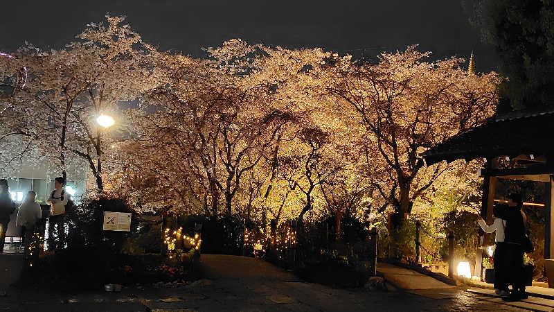 がんこさんのよみうりランド眺望温泉 花景の湯のサ活写真