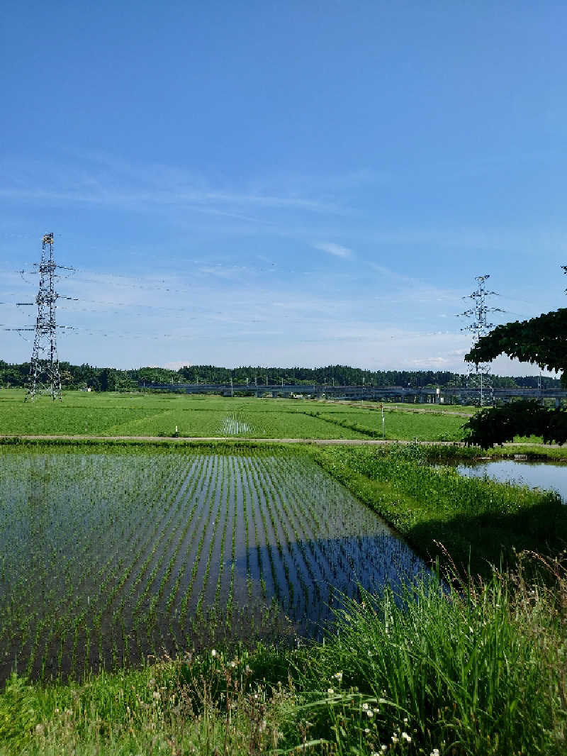 からあげ5さんのほっとプラザ 杉の子温泉のサ活写真