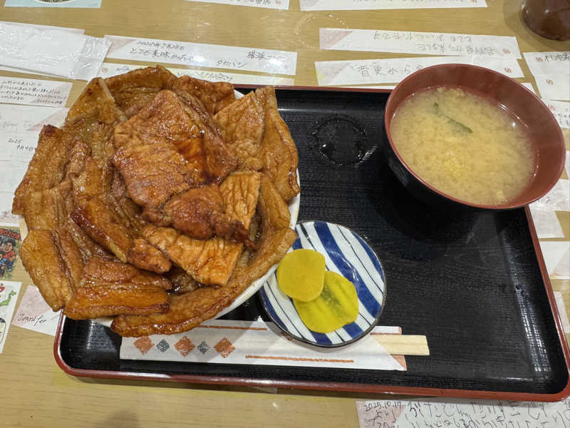 コヤヴィシャスさんのひまわり温泉のサ活写真