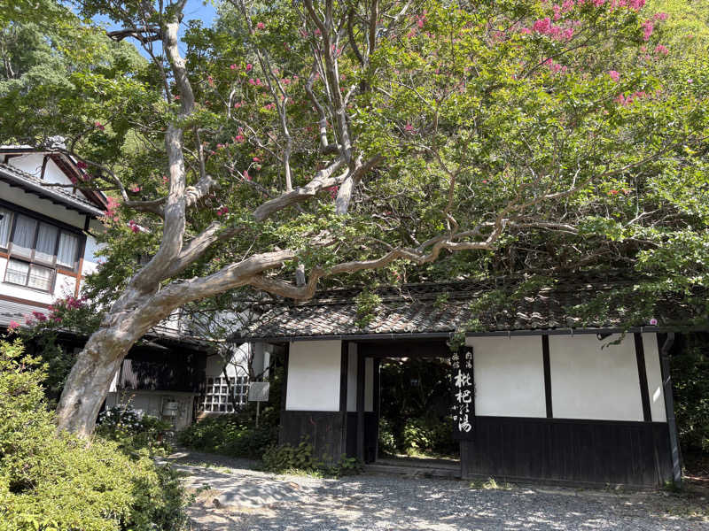 つるたんさんの枇杷の湯のサ活写真