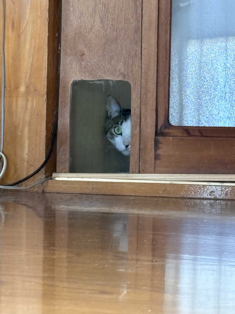 キクチコウダイさんの三陸四季湯彩ますと乃湯のサ活写真