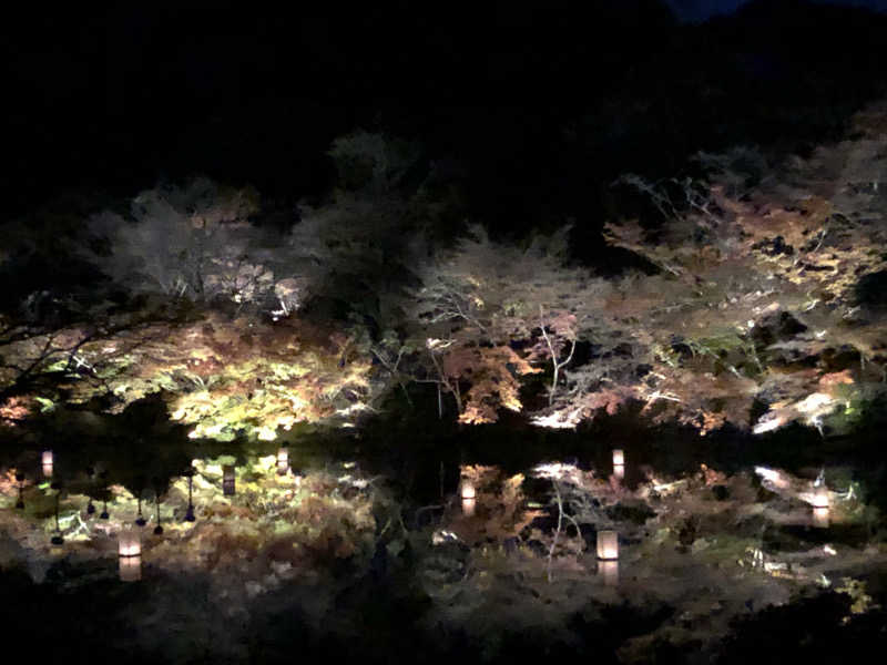 きんけんさんの御船山楽園ホテル  らかんの湯のサ活写真