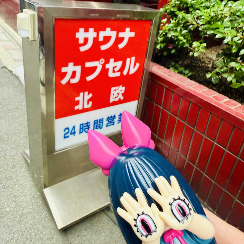 なっこさんのサウナ&カプセルホテル 北欧のサ活写真