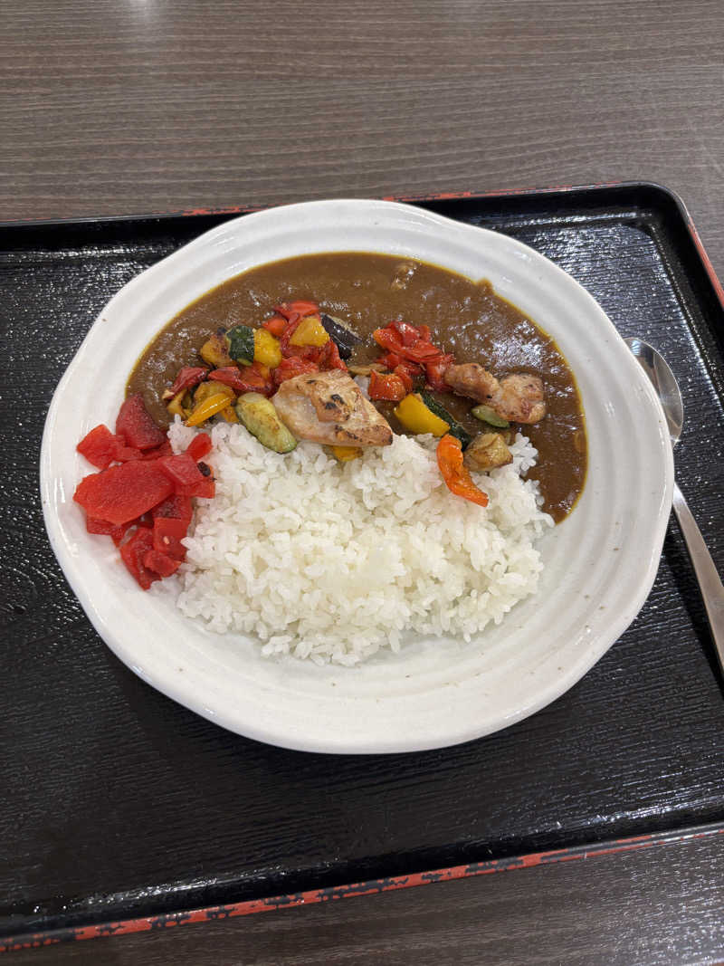 はなさんの楽天地天然温泉 法典の湯のサ活写真