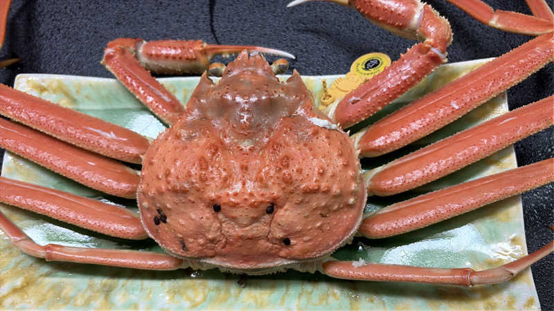 もるさんの越のゆ 敦賀店のサ活写真