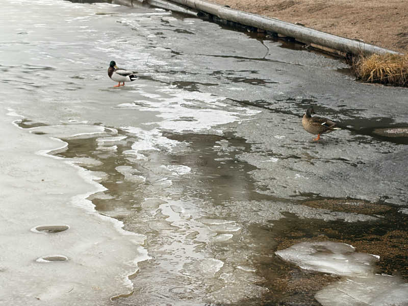 もるさんのCafe Kuusijärviのサ活写真