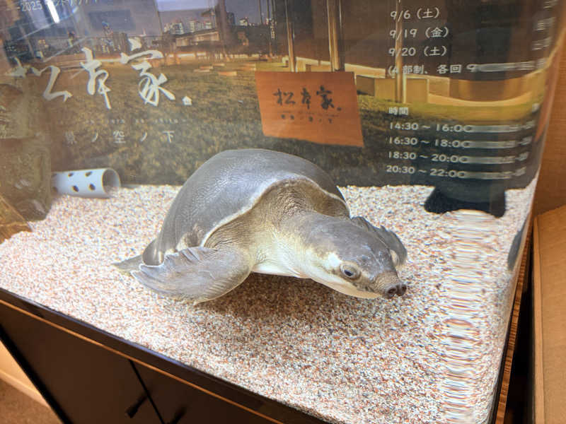 もるさんの松本湯のサ活写真