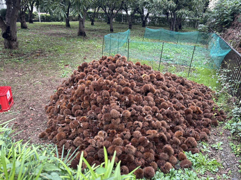 中央線をこよなく愛する女さんの天然温泉 たからゆ -中野若宮温泉-のサ活写真
