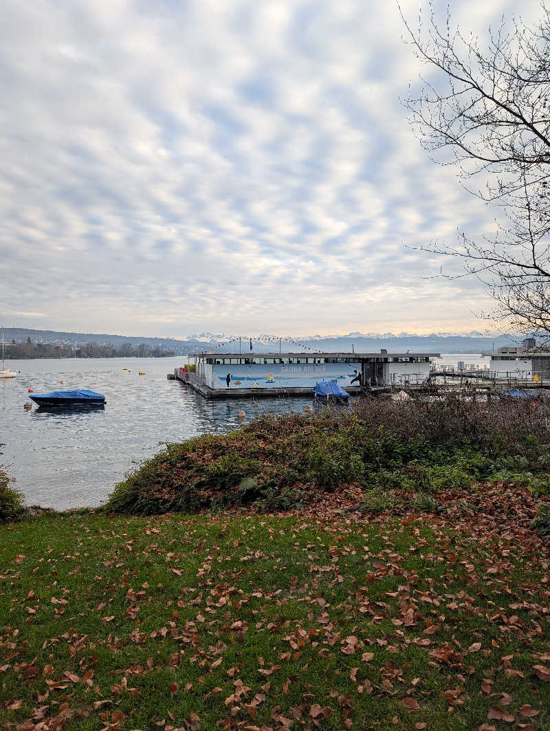 ブンブンさんのSeebad Enge / Lakeside Saunaのサ活写真