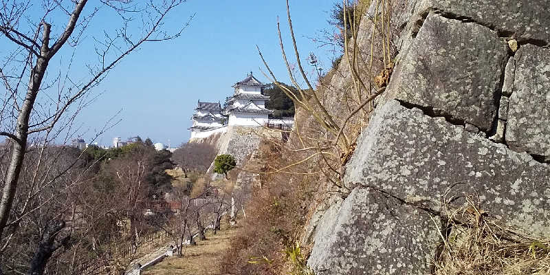 SO-RIさんの明石大蔵海岸 龍の湯のサ活写真