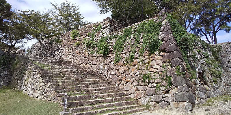 SO-RIさんの東光湯のサ活写真