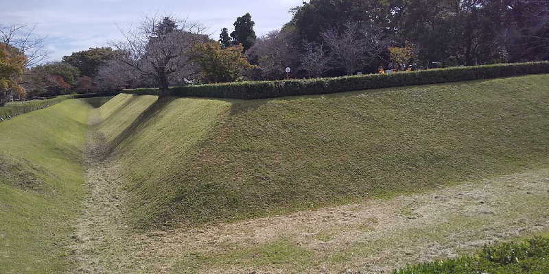 SO-RIさんの佐倉天然温泉 澄流(すみれ)のサ活写真