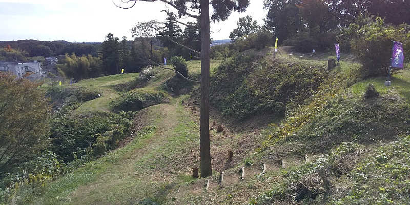 SO-RIさんの野天風呂 蔵の湯 東松山店のサ活写真