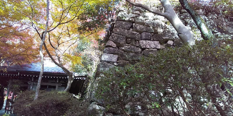 SO-RIさんの長命寺温泉 天葉の湯のサ活写真