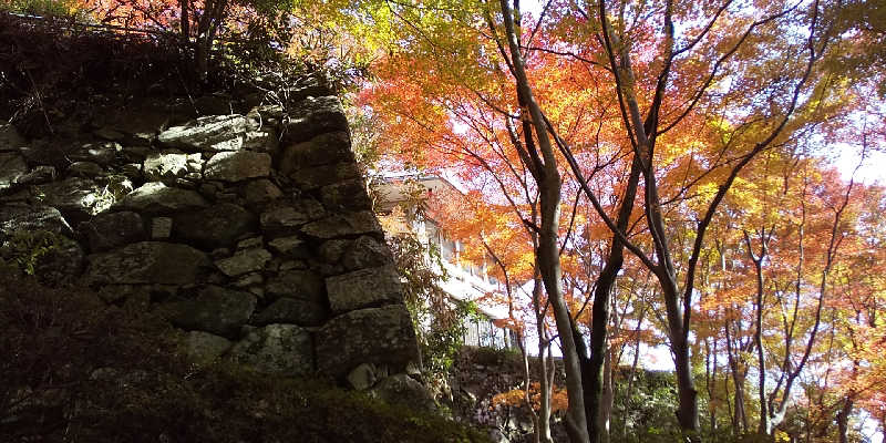 SO-RIさんの長命寺温泉 天葉の湯のサ活写真