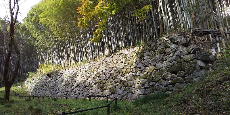 SO-RIさんの長命寺温泉 天葉の湯のサ活写真