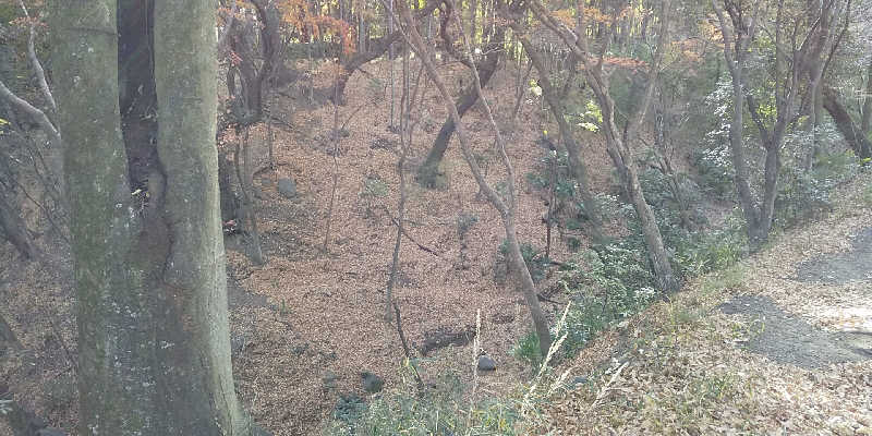 SO-RIさんの山梨日帰り温泉 湯めみの丘のサ活写真