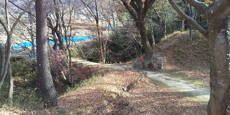 SO-RIさんの山梨日帰り温泉 湯めみの丘のサ活写真