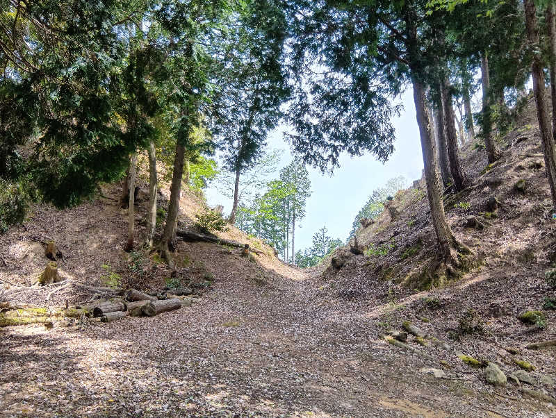 SO-RIさんのホテル シルク温泉やまびこのサ活写真