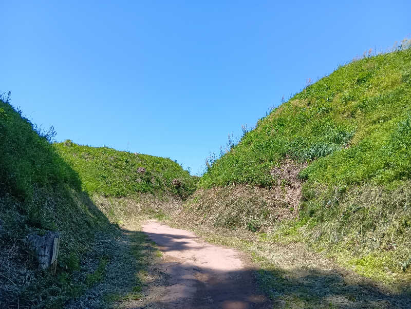 SO-RIさんの酒々井温泉 湯楽の里のサ活写真
