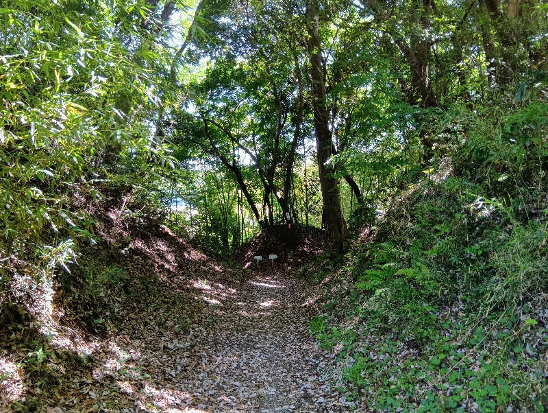 SO-RIさんの酒々井温泉 湯楽の里のサ活写真