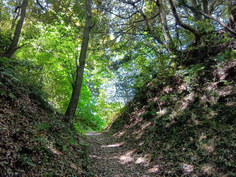 SO-RIさんの酒々井温泉 湯楽の里のサ活写真