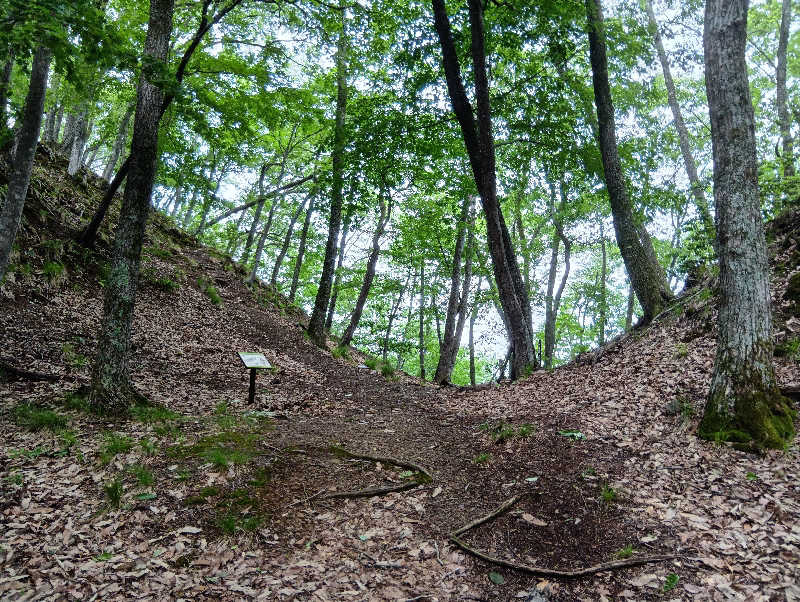 SO-RIさんの極楽湯 彦根店のサ活写真