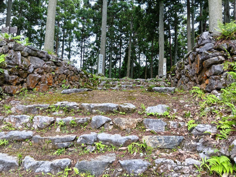 SO-RIさんの極楽湯 彦根店のサ活写真