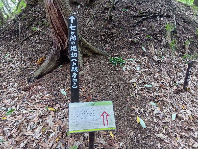 SO-RIさんの極楽湯 彦根店のサ活写真